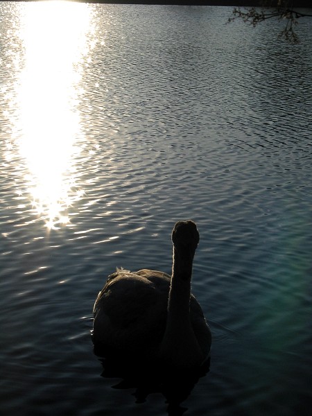 29I2080840_IMG.JPG