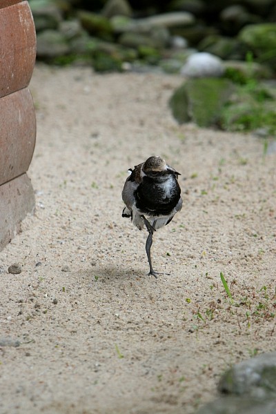 34IMG_2869.JPG