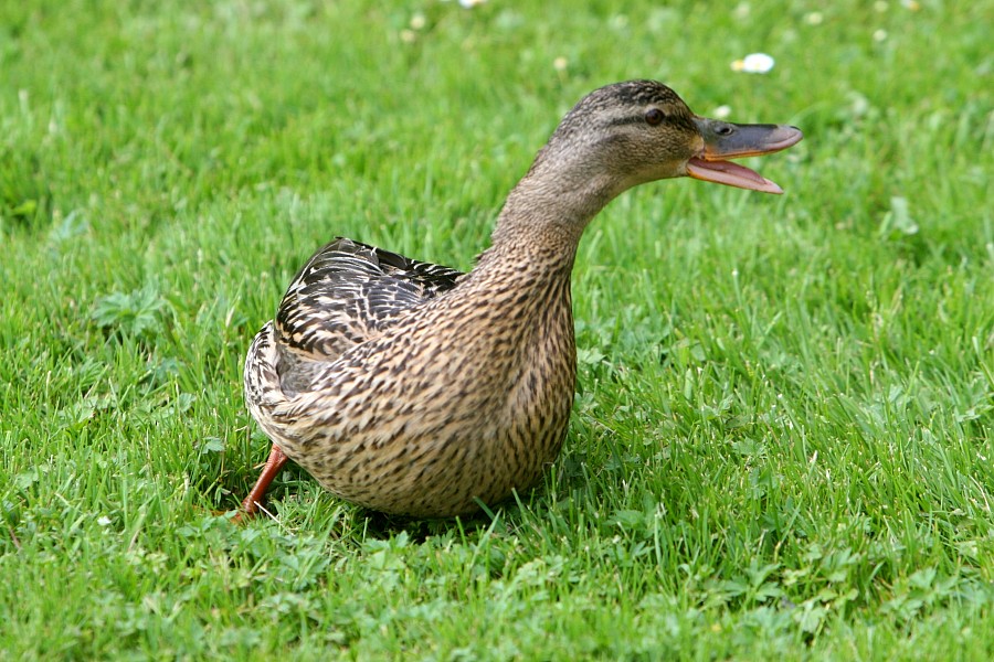 76IMG_8211.JPG
